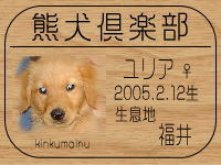 �P���V���E�o����̂g�o�ւf�n�I